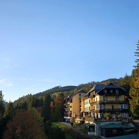 Alpenhotel Goesing Puchenstuben 外观 照片