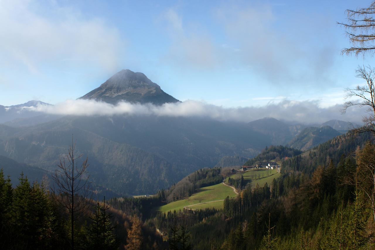 Alpenhotel Goesing Puchenstuben 外观 照片