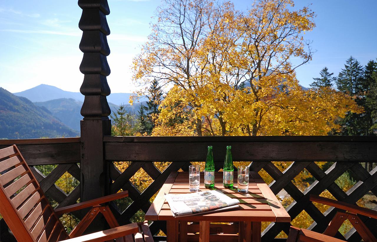 Alpenhotel Goesing Puchenstuben 外观 照片